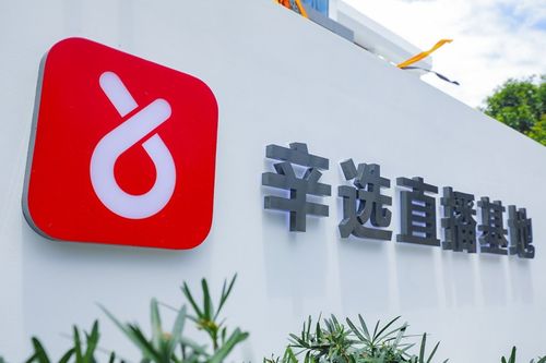 辛巴辛有志 以強大供應鏈體系構(gòu)筑辛選護城河，賦能教育咨詢服務新生態(tài)